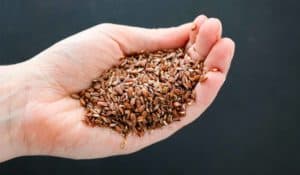 Flax seed Recipes